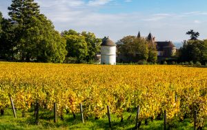 Jakobsweg Couchey Taubenschlag im Weinberg