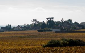Jakobsweg Fixey Panorama mit Zedern