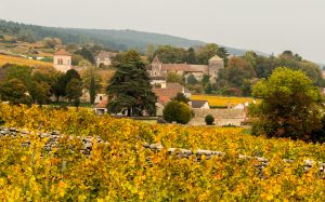 Jakobsweg Gevrey Weingüter