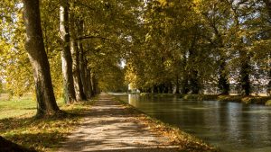 Jakobsweg Moissac Weg zwischen Fluß und Kanal Herbstlaub Sonne