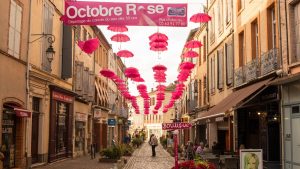 Jakobsweg Moissac rosa Oktober Straße Totale
